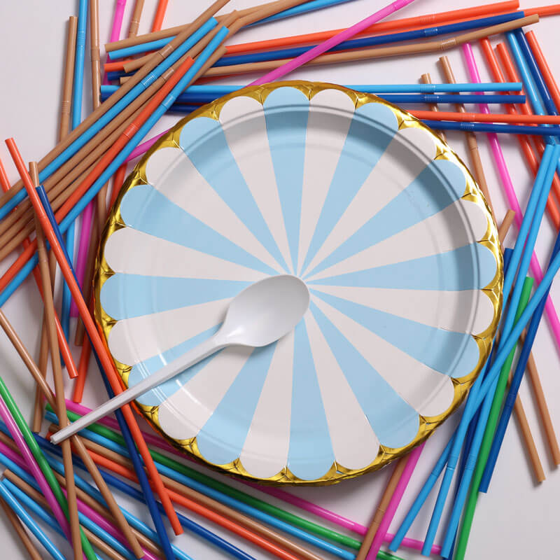 Blue And White Pattern Paper Plate