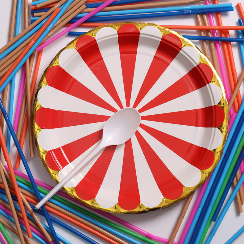 Red And White Pattern Paper Plate