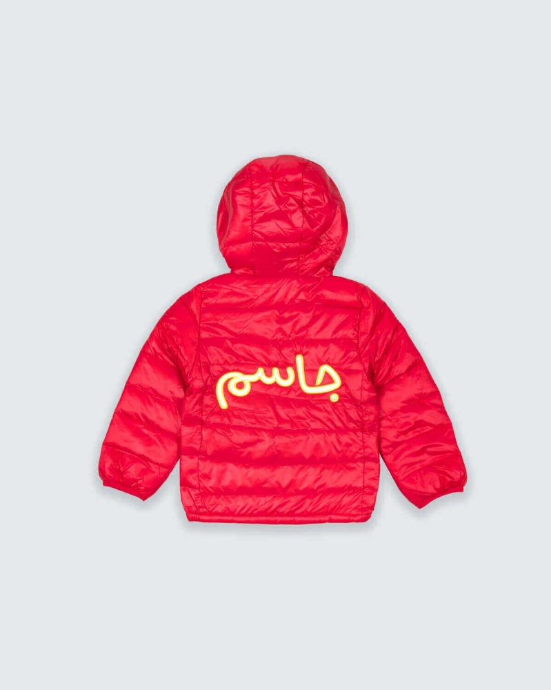 Picture of Multi-Color Winter Jacket With Hoodie For Kids