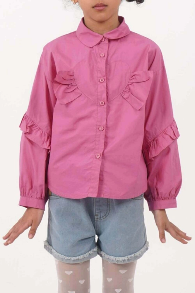 Picture of TIYA Lovely Pink blouse for girls B0189