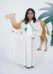 Picture of 7587 Saudi National Day Mesh Tree Dress For Girls